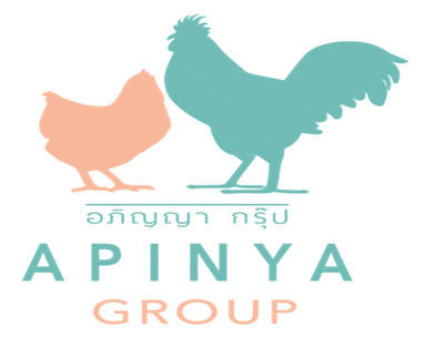 APINYA GROUP COMPANY LIMITED