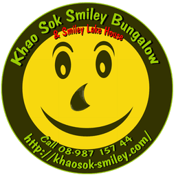 Khao Sok Smiley Bungalow