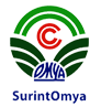 Purchase and Procurement officer
